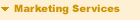 Marketing Services