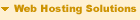Web Hosting Services